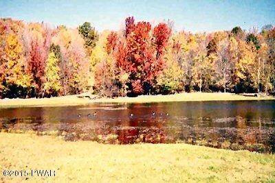 9. Land for Sale at 450 & 451 Bruin Rd 450 &Amp; 451 Bruin Rd Lake Ariel, Pennsylvania 18436 United States
