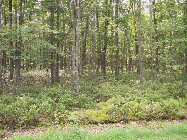 2. Land for Sale at Lot 32 Fawn Lake Dr Hawley, Pennsylvania 18428 United States