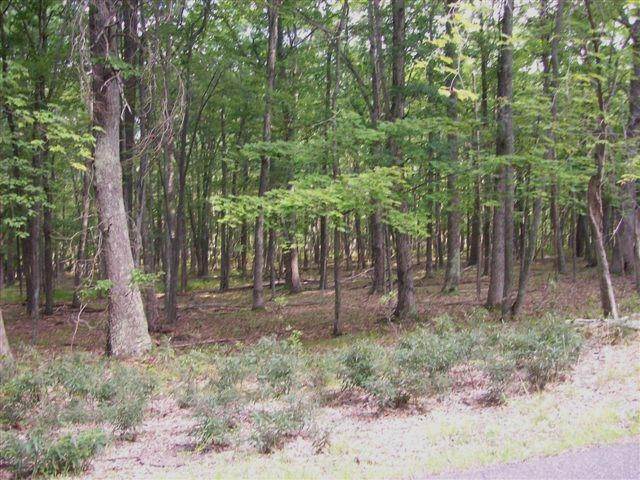 3. Land for Sale at Lot 32 Fawn Lake Dr Hawley, Pennsylvania 18428 United States