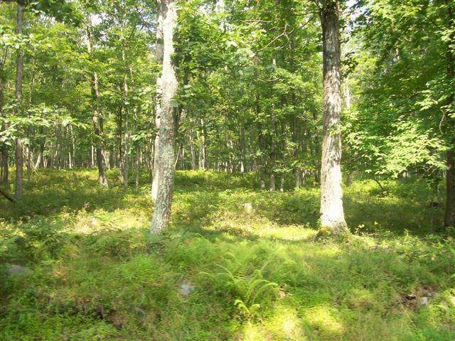 6. Land for Sale at Lot 32 Fawn Lake Dr Hawley, Pennsylvania 18428 United States