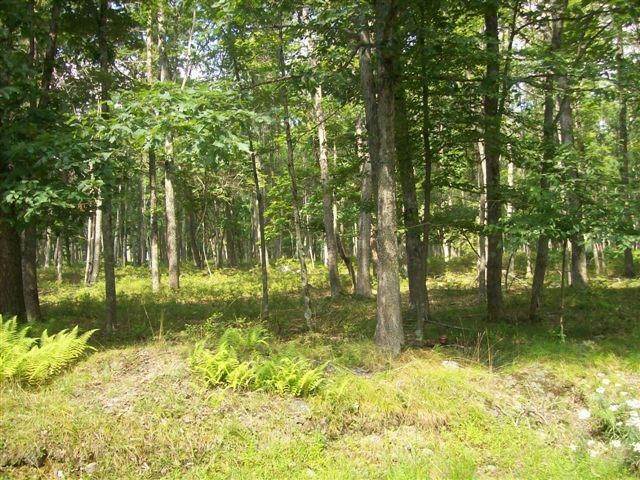 Land for Sale at Lot 178a Ridge View Rd East Stroudsburg, Pennsylvania 18302 United States