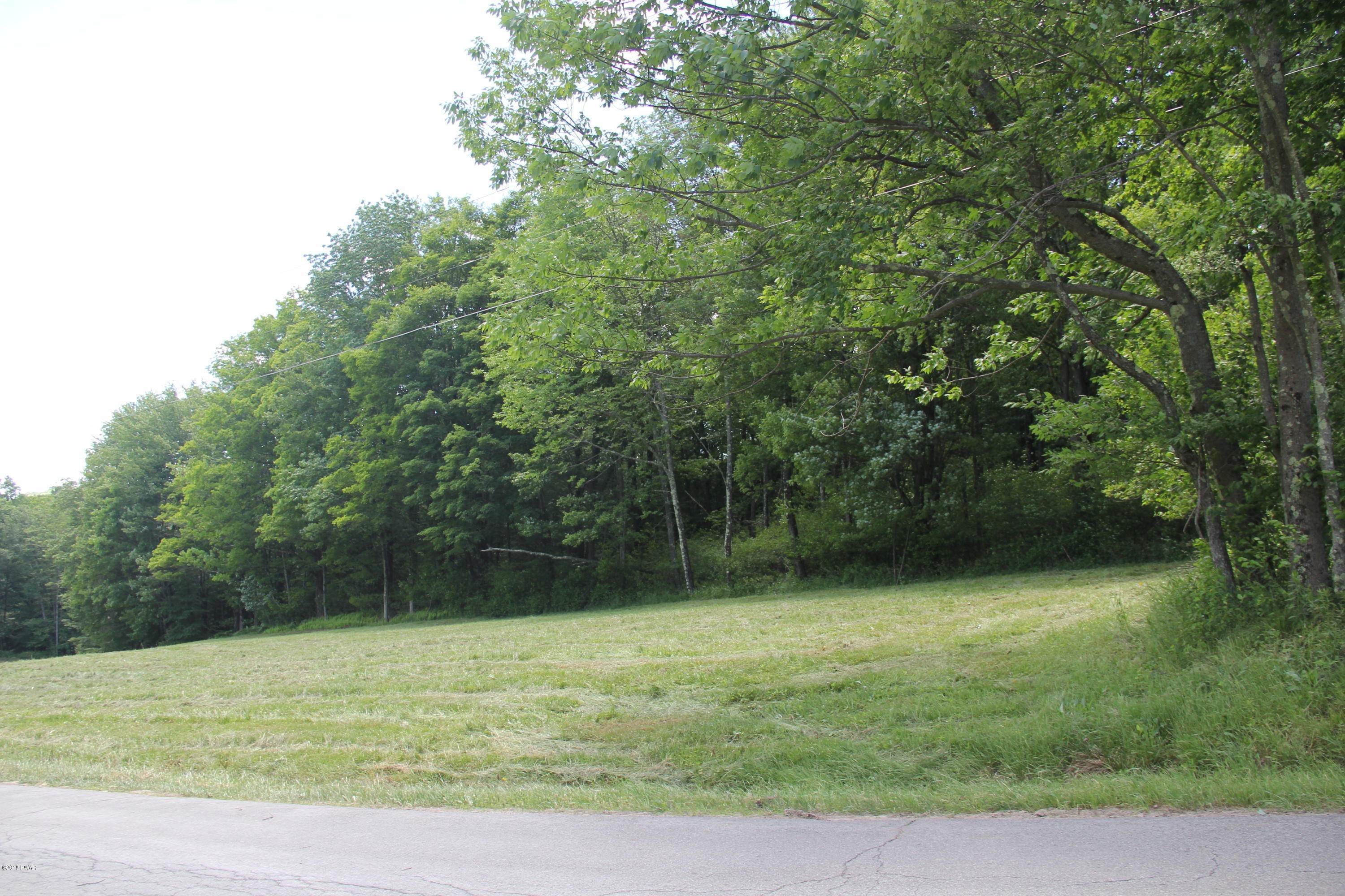 2. Land for Sale at Old Danzer Rd Livingston Manor, New York OTHER United States
