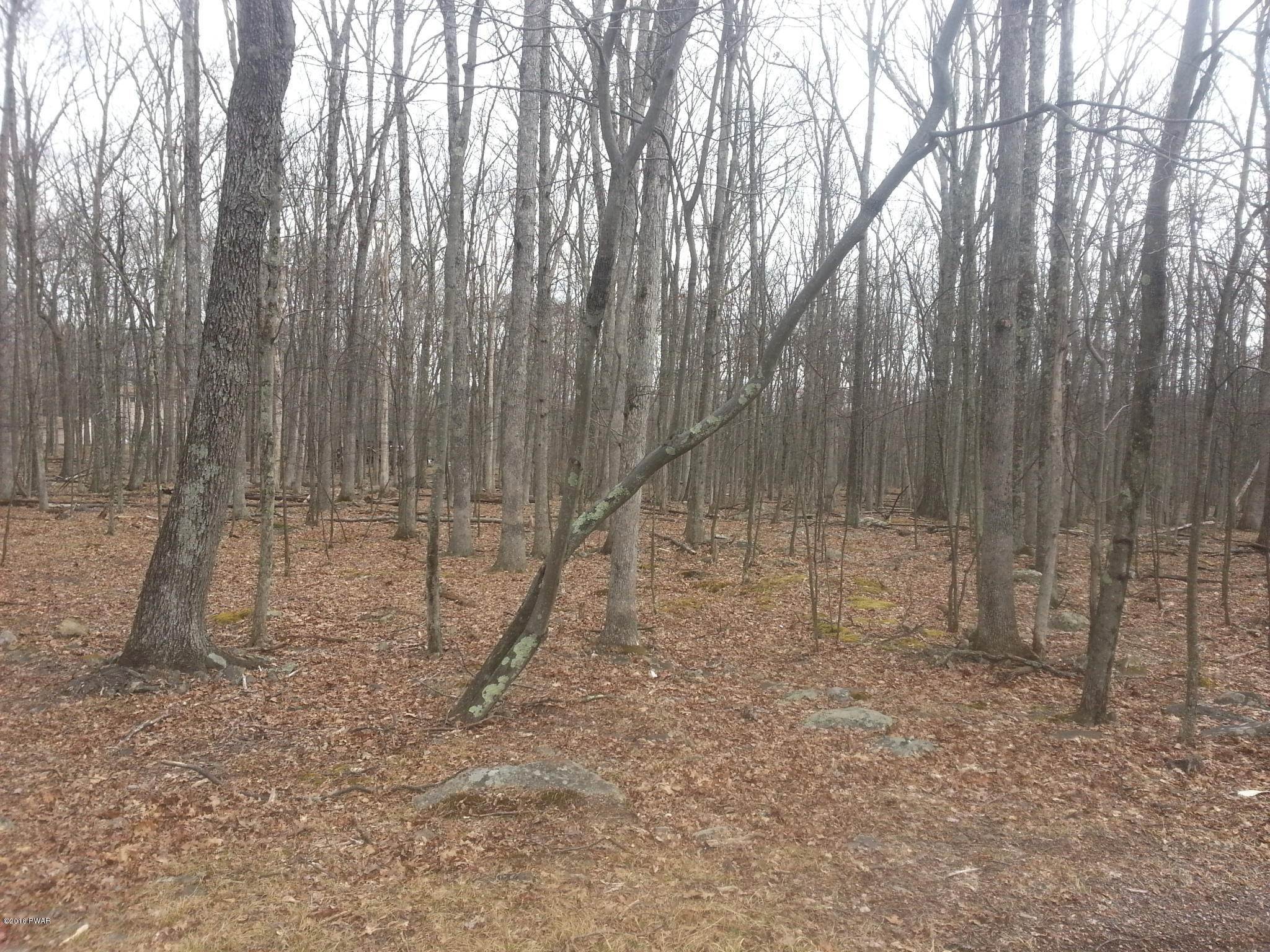 3. Land for Sale at 142 Evergreen Ct Hawley, Pennsylvania 18428 United States