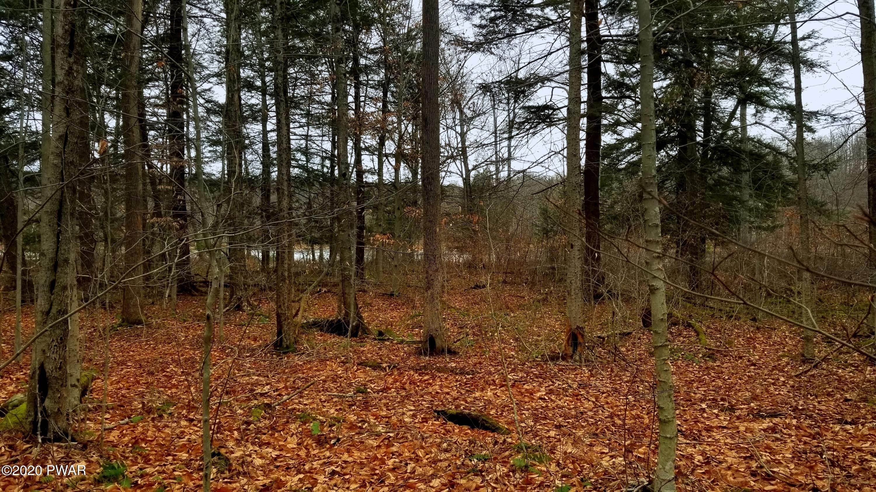 29. Land for Sale at Lot 80 Stonegate Rd Equinunk, Pennsylvania 18417 United States