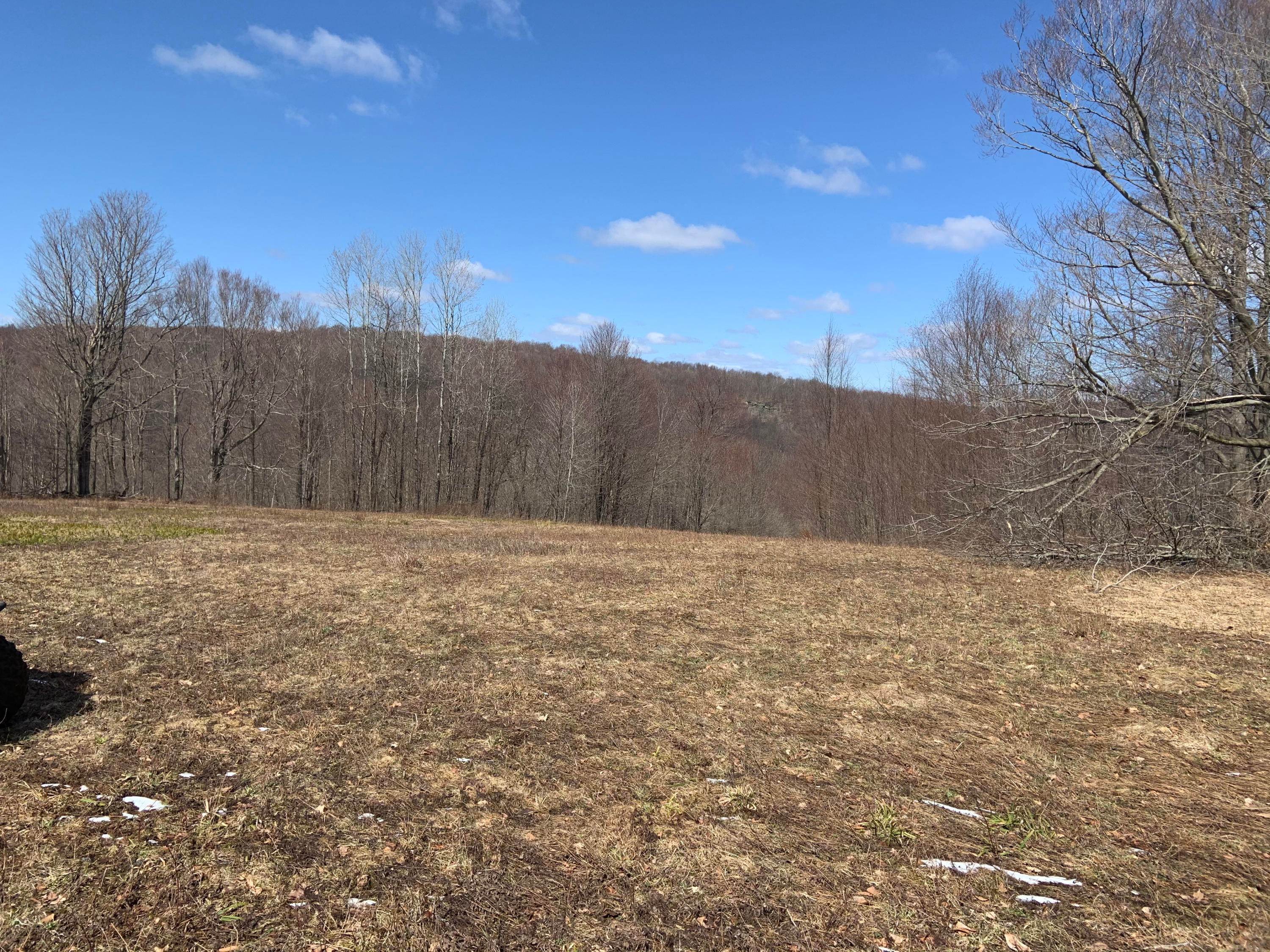 2. Land for Sale at Starrucca Creek Rd Starrucca, Pennsylvania 18847 United States