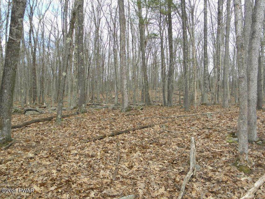 3. Land for Sale at 806 Tink Wig Dr Hawley, Pennsylvania 18428 United States