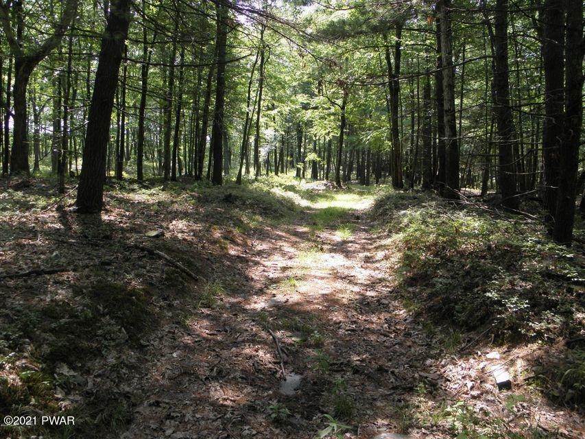 1. Land for Sale at Powerline Rd Hawley, Pennsylvania 18428 United States