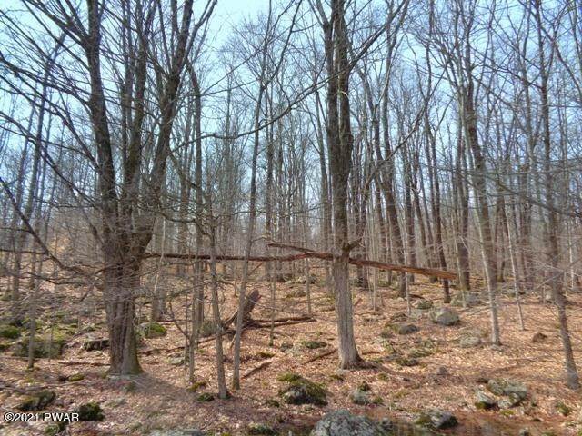 2. Land for Sale at 1303 Lakeside Dr Greentown, Pennsylvania 18426 United States