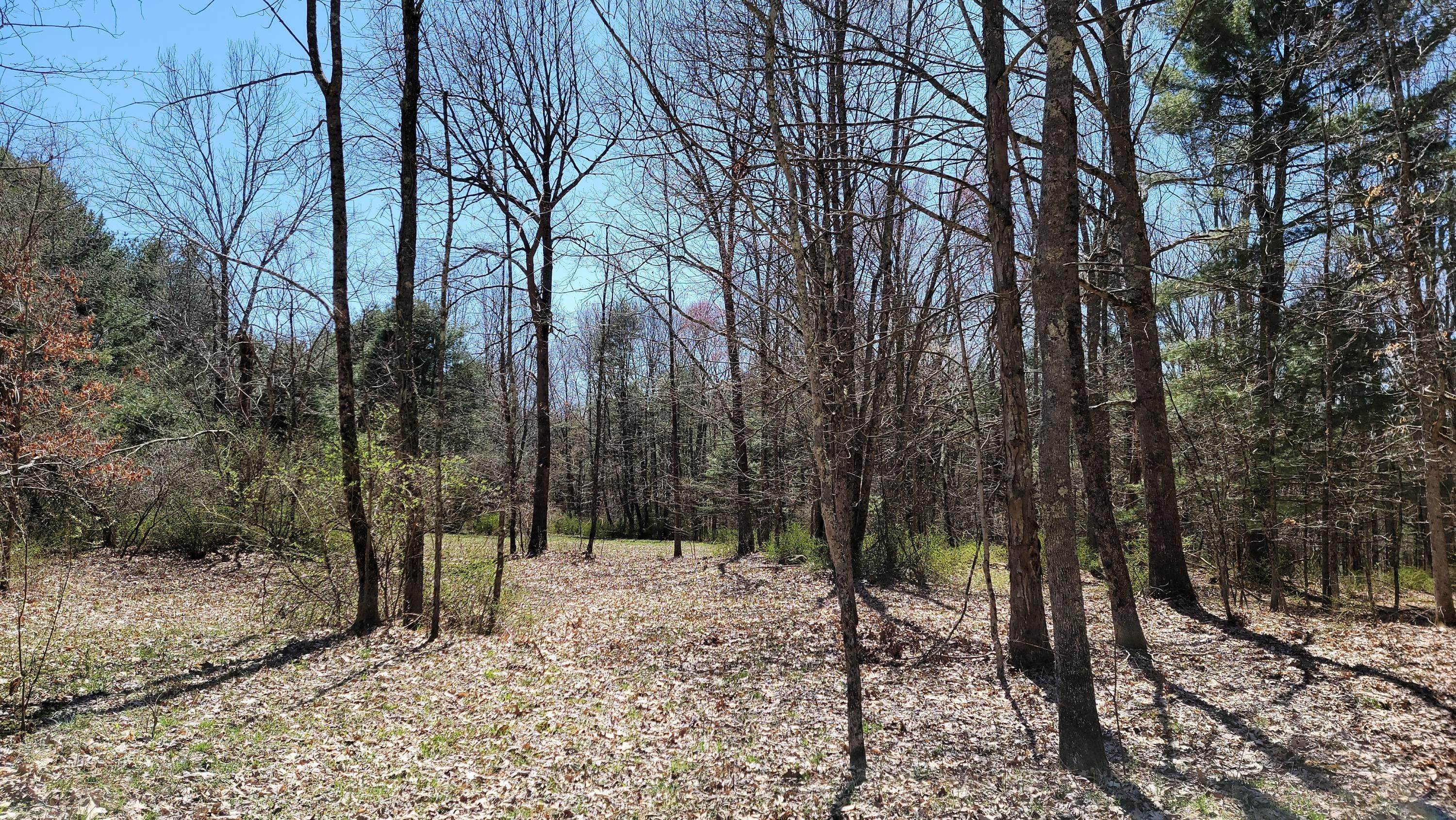 17. Land for Sale at Lot 6 State Route 97 Narrowsburg, New York 12764 United States