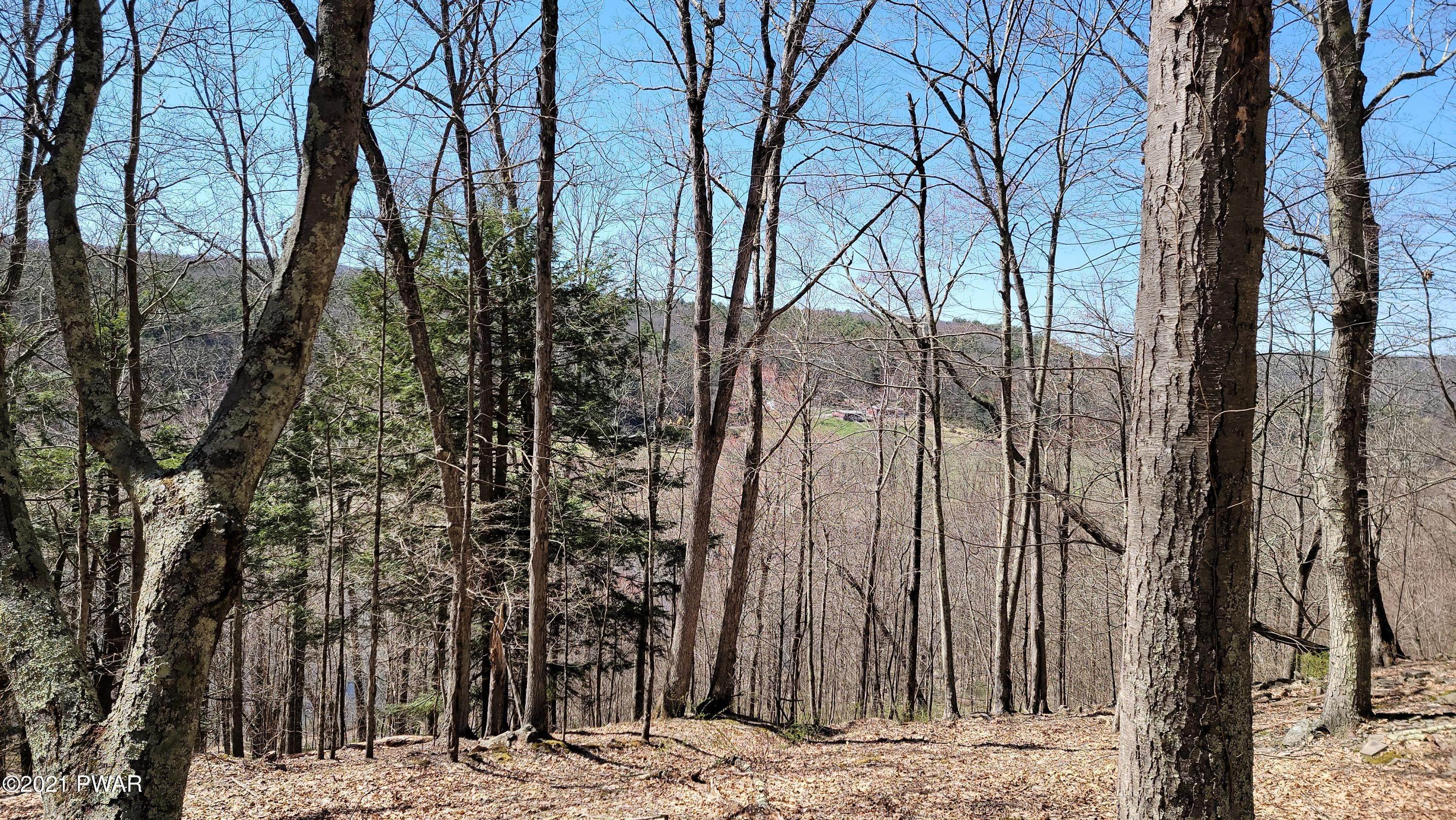 4. Land for Sale at Lot 6 State Route 97 Narrowsburg, New York 12764 United States