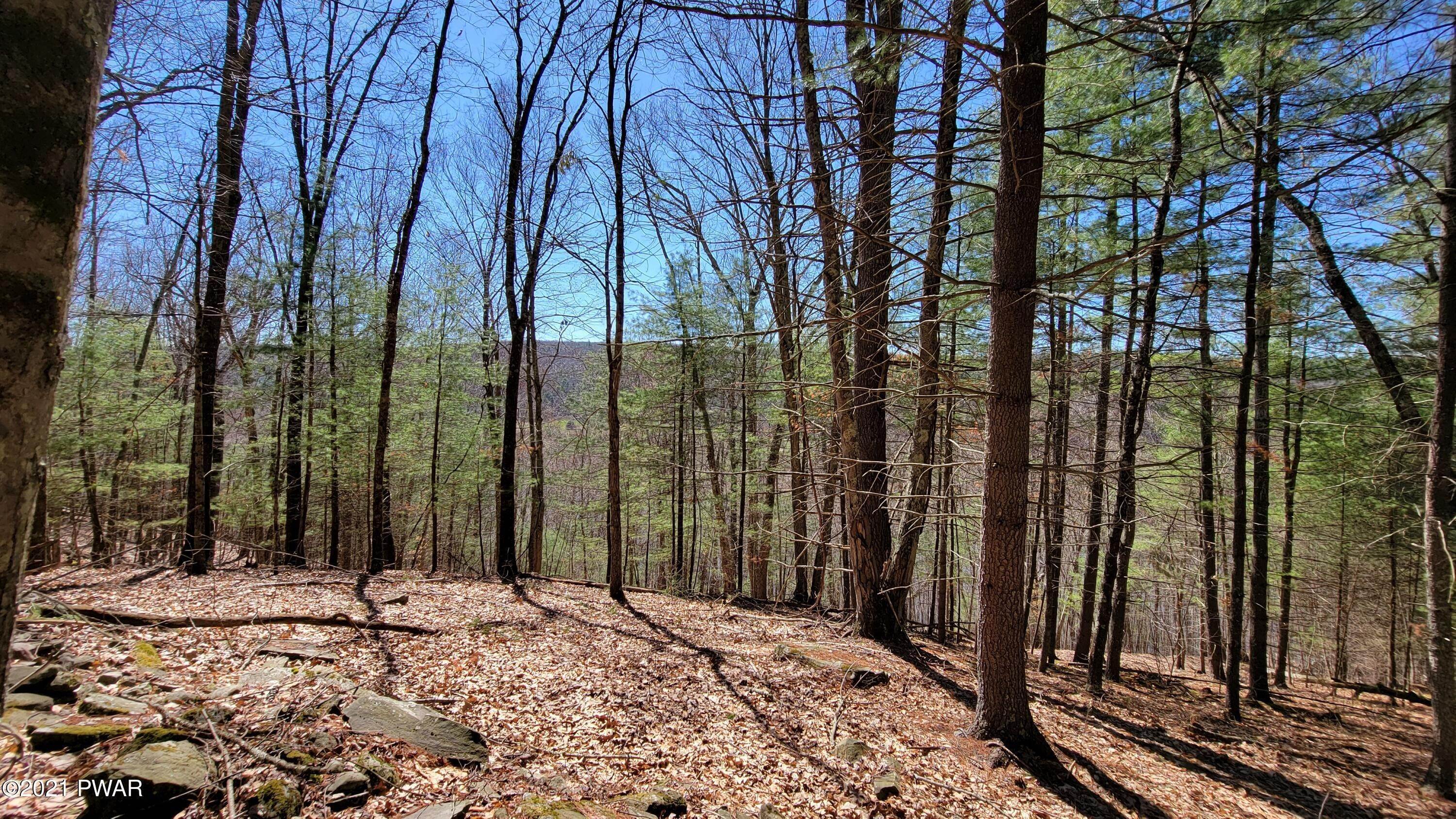 41. Land for Sale at Lot 6 State Route 97 Narrowsburg, New York 12764 United States