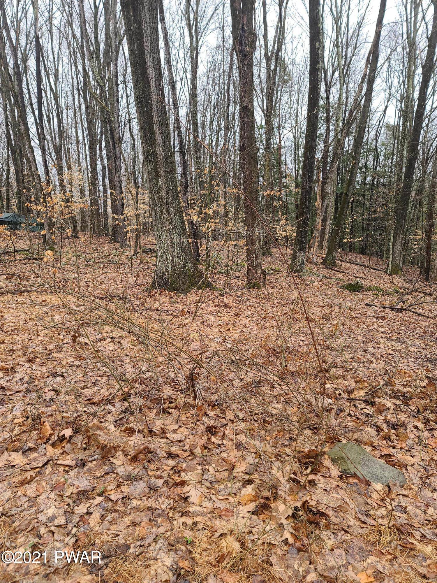 Land for Sale at Lot 1 N Briar Hill Rd Lakeville, Pennsylvania 18438 United States