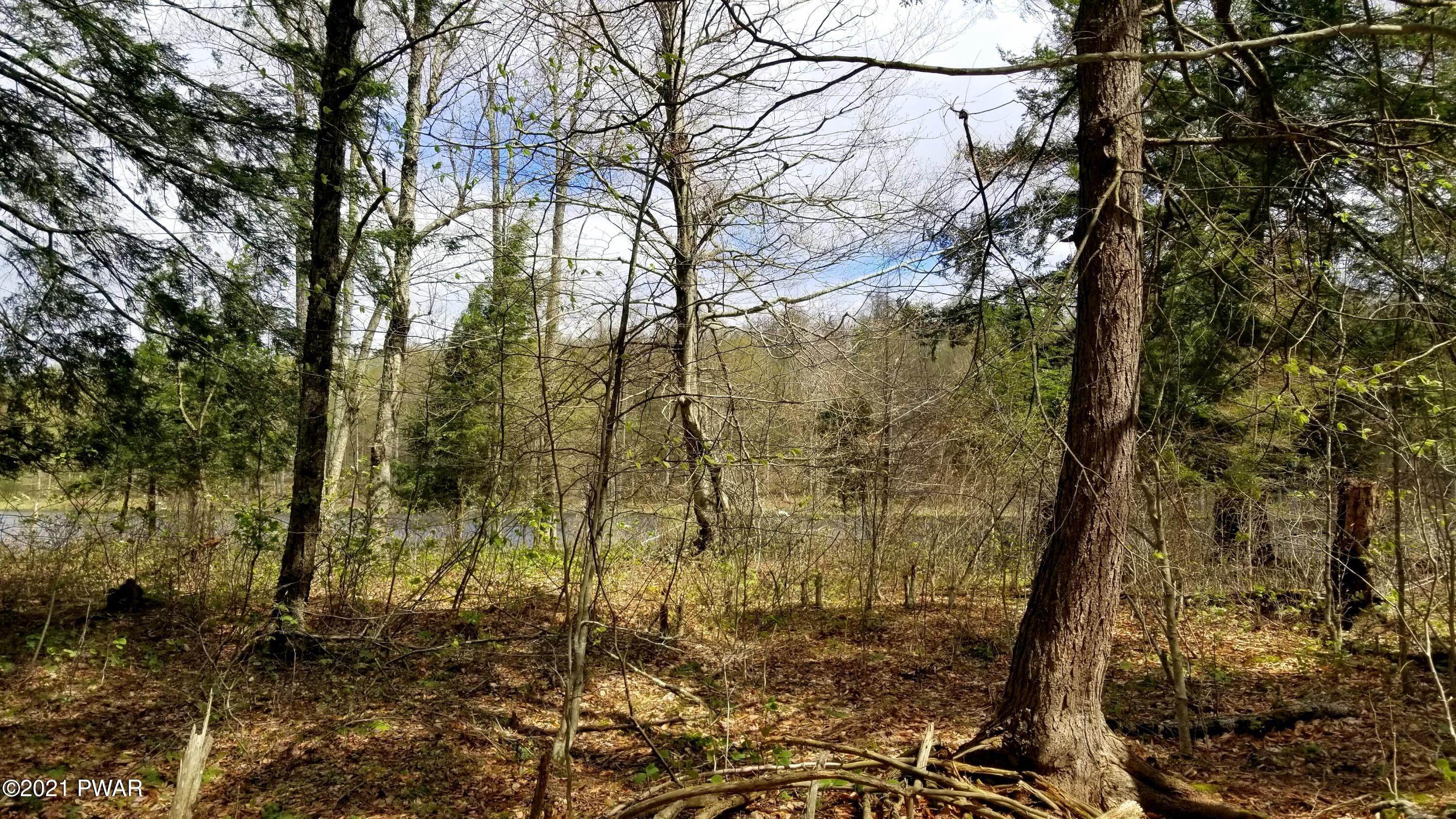3. Land for Sale at Lot 80 Stonegate Rd Equinunk, Pennsylvania 18417 United States