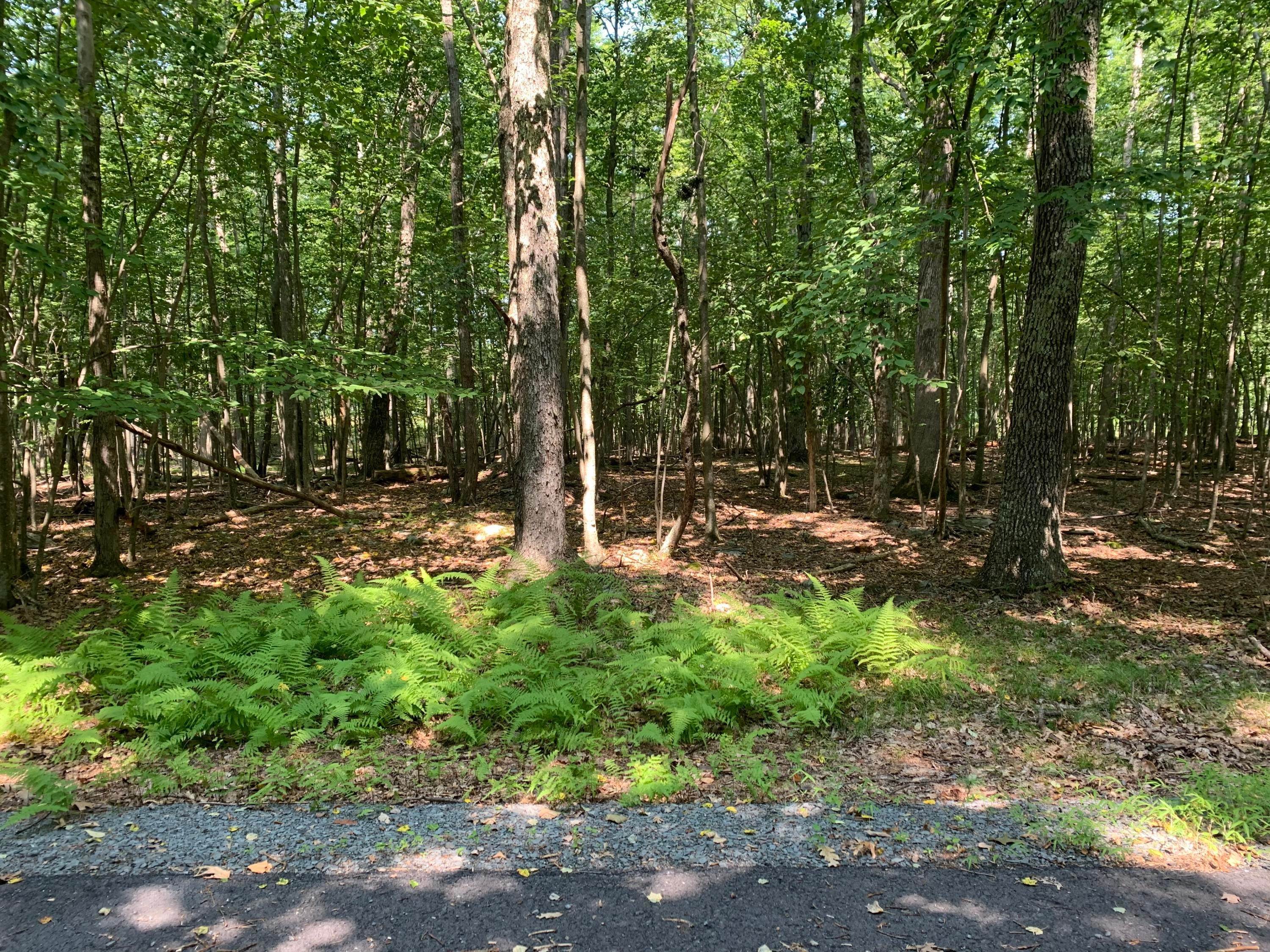 Land for Sale at 551 Sun Valley Dr Tafton, Pennsylvania 18464 United States