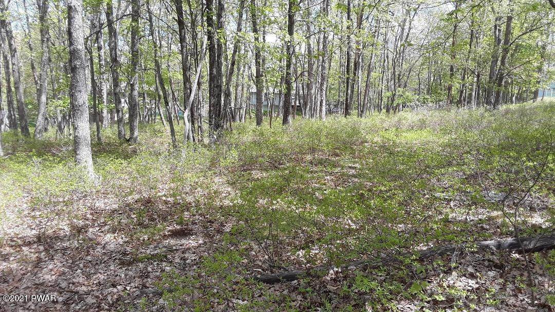 2. Land for Sale at Lot 16 Hartman Hill Rd Milford, Pennsylvania 18337 United States