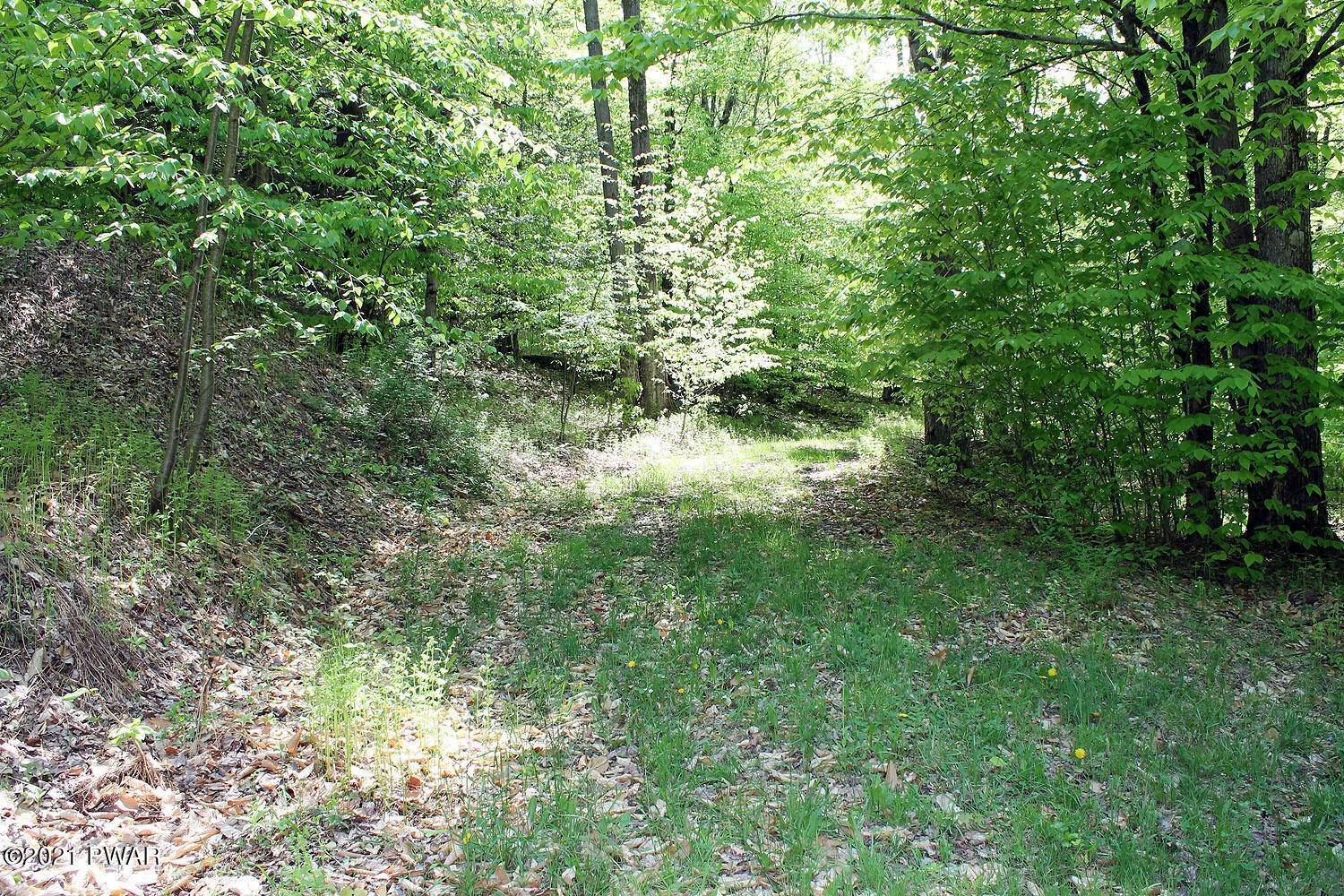 2. Land for Sale at 03 Robbs Rd Damascus, Pennsylvania 18415 United States