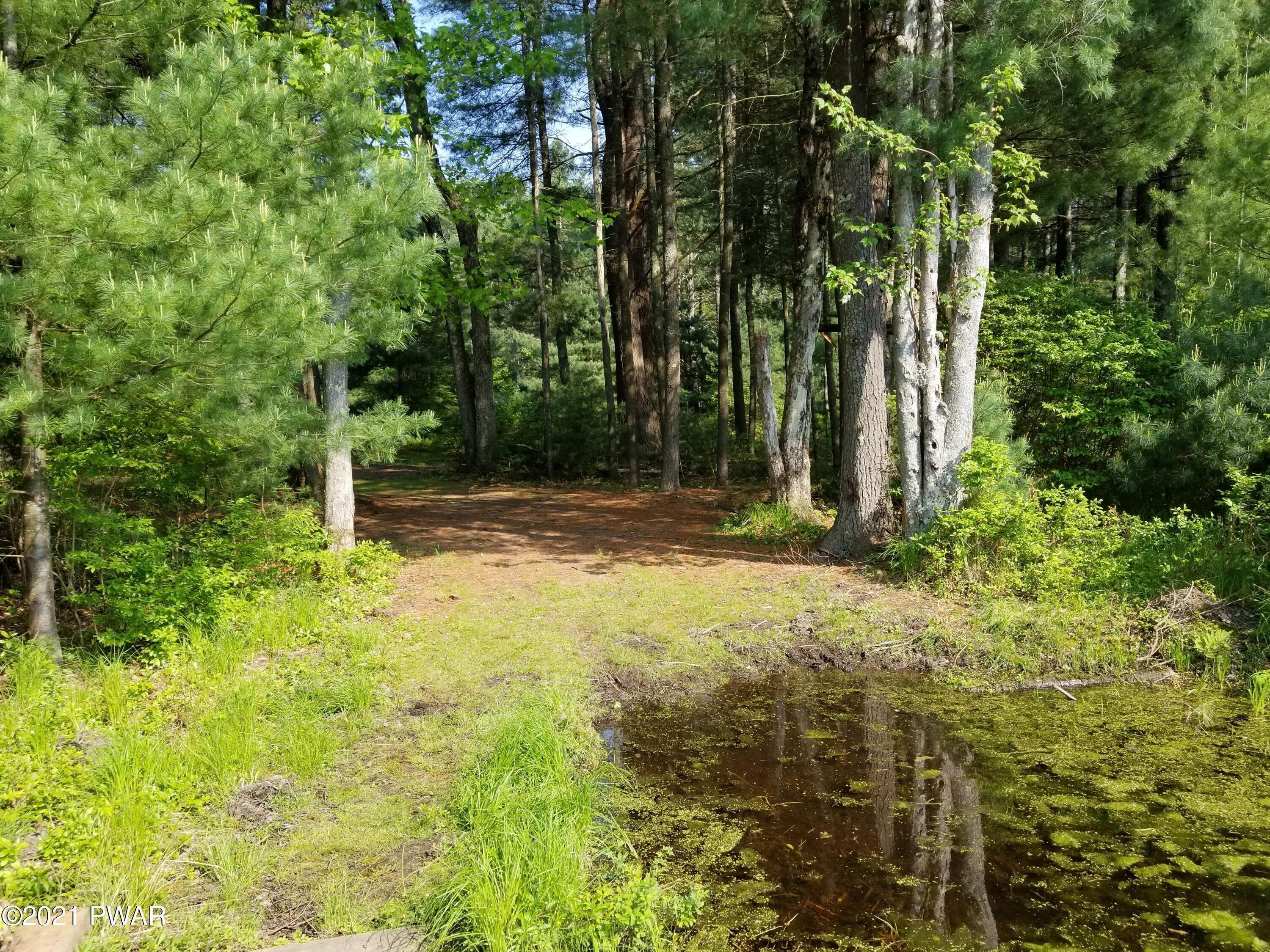 9. Land for Sale at Lot # 15 Swamp Pond Rd Narrowsburg, New York 12764 United States