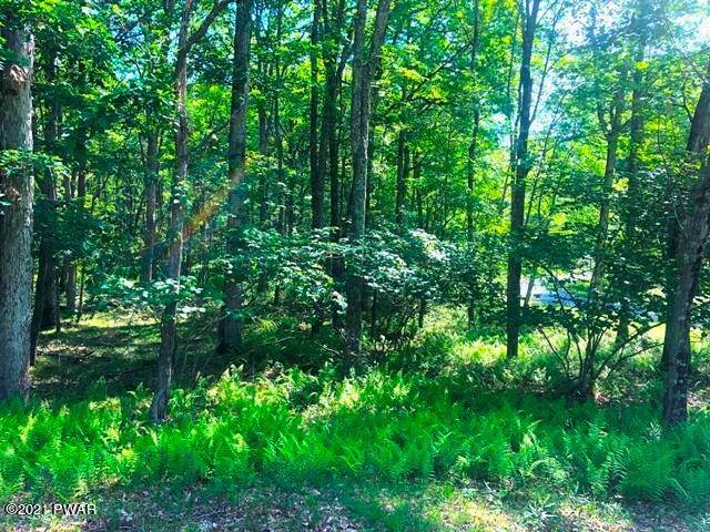 3. Land for Sale at 172 Parkwood Dr Hawley, Pennsylvania 18428 United States