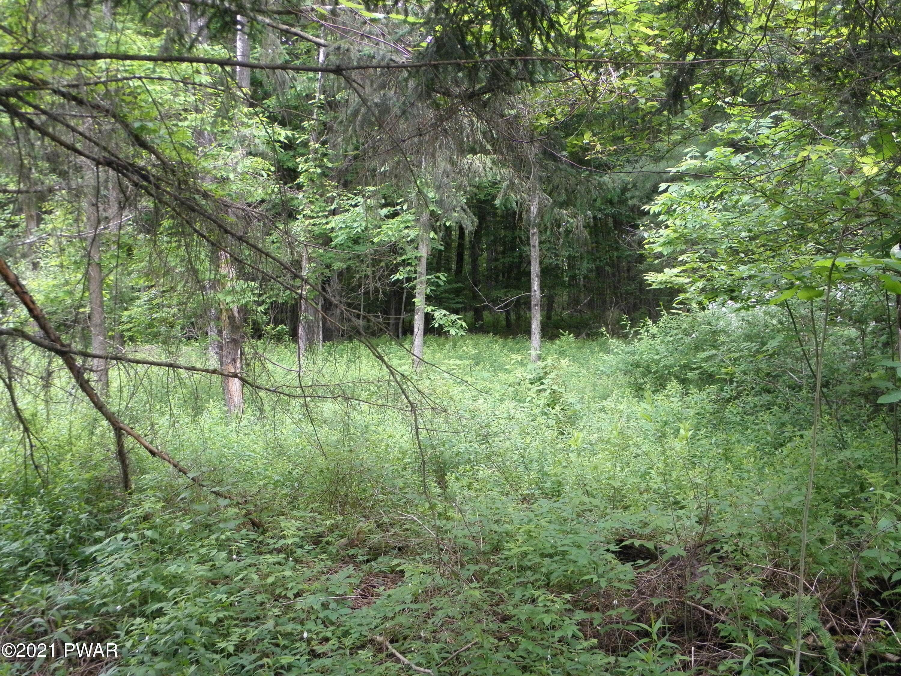 5. Land for Sale at Route 590 Lakeville, Pennsylvania 18436 United States