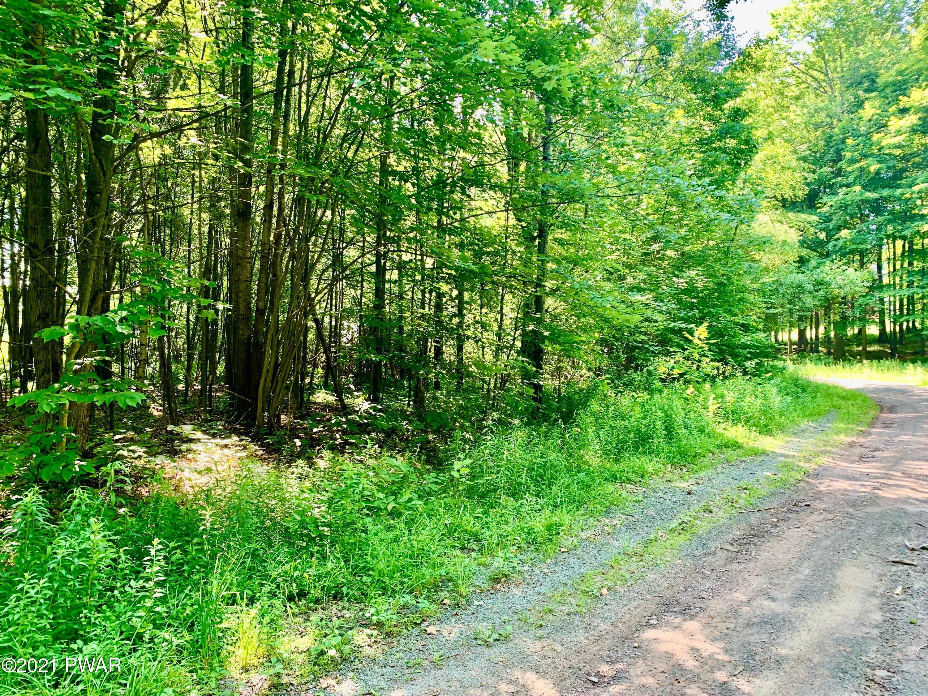 10. Land for Sale at Address Not Available Pleasant Mount, Pennsylvania 18453 United States