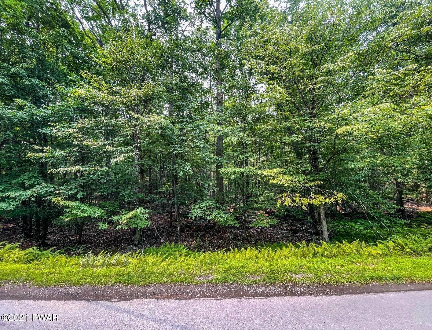 5. Land for Sale at Lot 683 N Paper Birch Tafton, Pennsylvania 18464 United States
