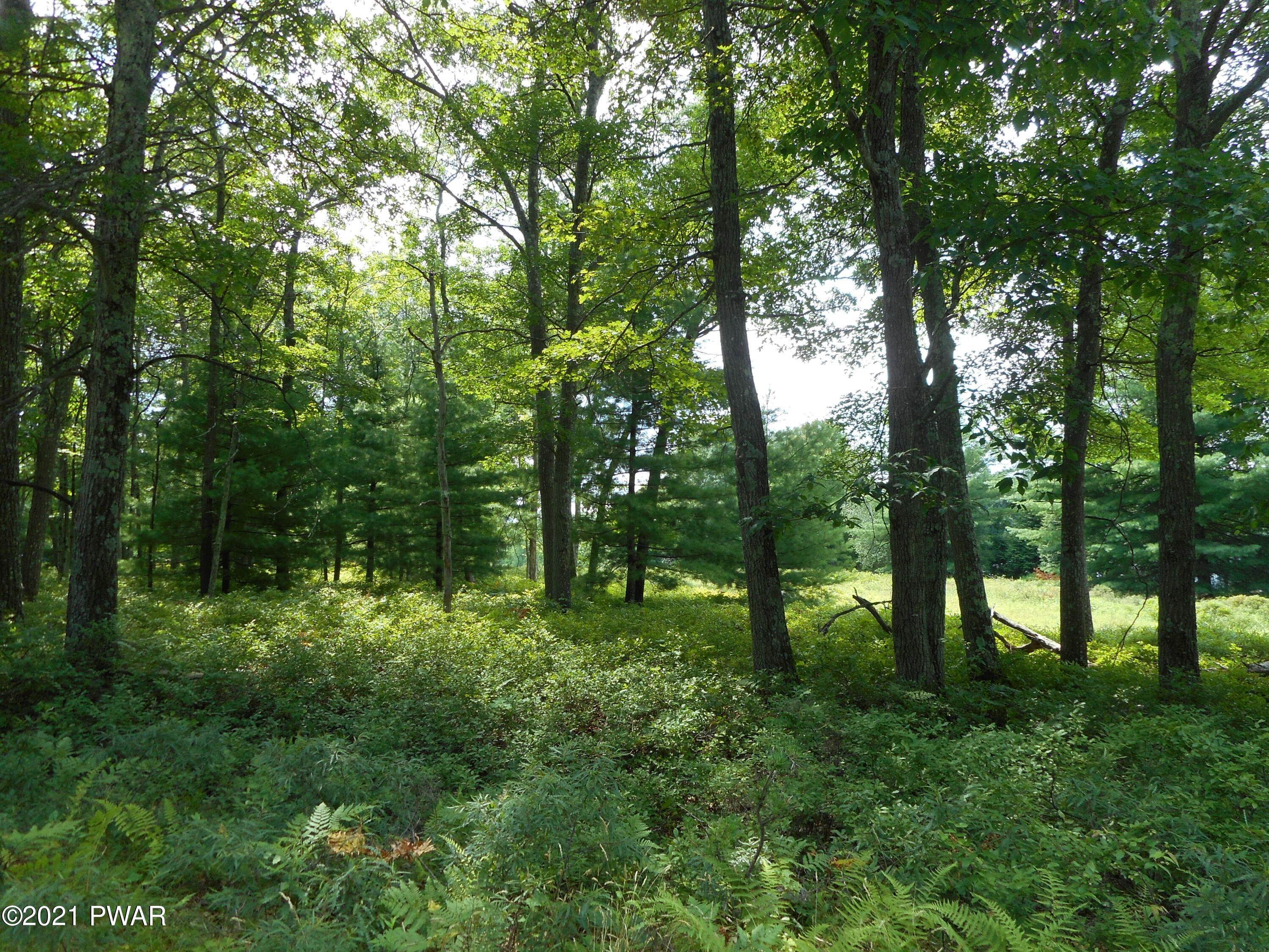 2. Land for Sale at North Castle Dr Westfall Township, Pennsylvania 18337 United States