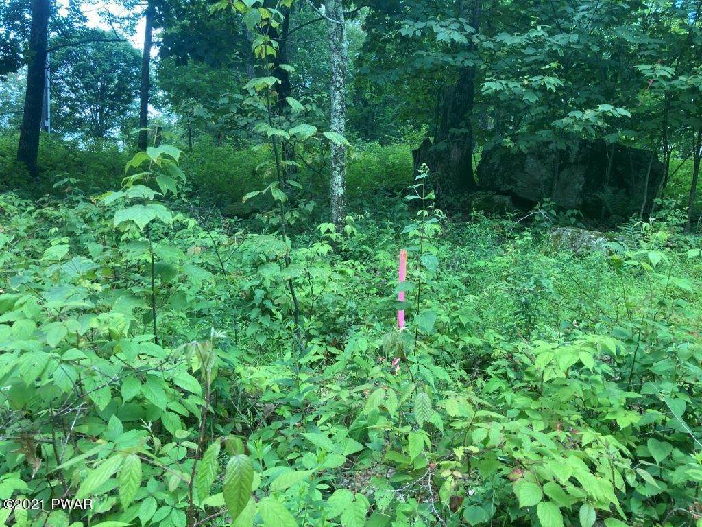 2. Land for Sale at Pinnacle Drive Honesdale, Pennsylvania 18431 United States