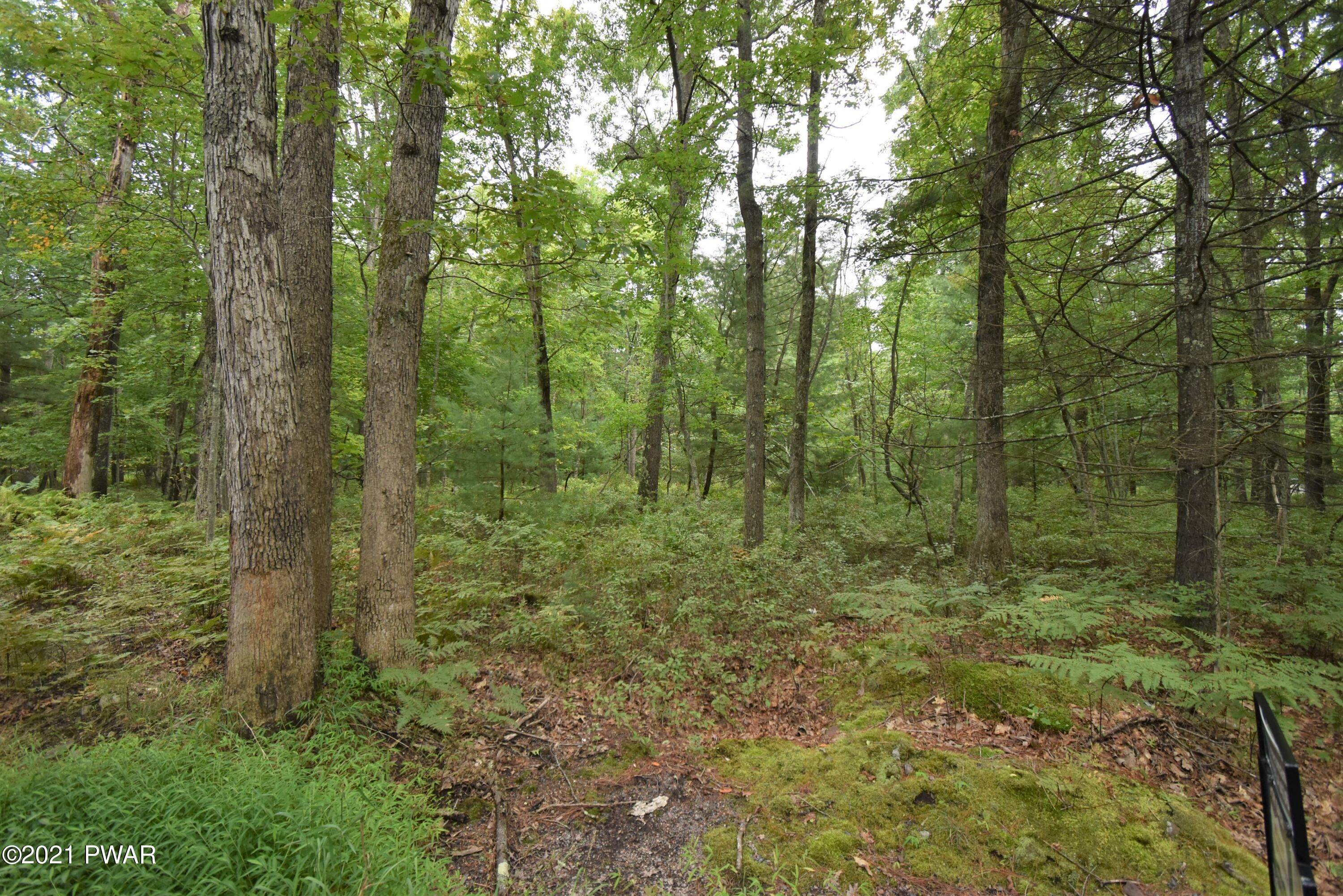 6. Land for Sale at Urban Rd Lackawaxen, Pennsylvania 18428 United States