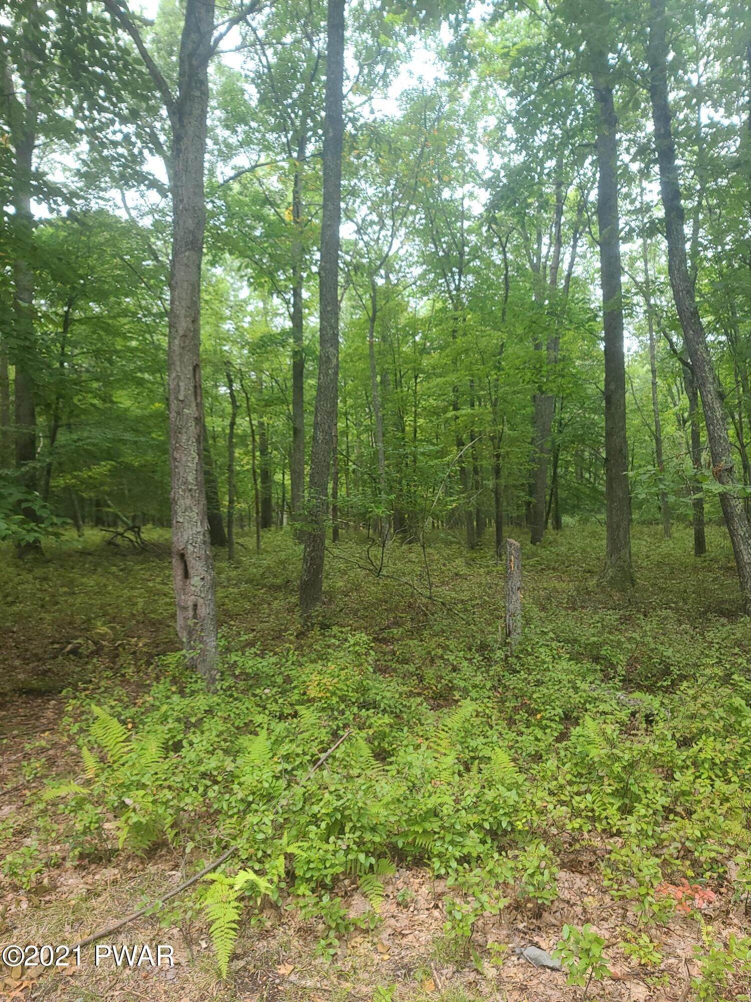 6. Land for Sale at Lot 45 Deer Ct Hawley, Pennsylvania 18428 United States
