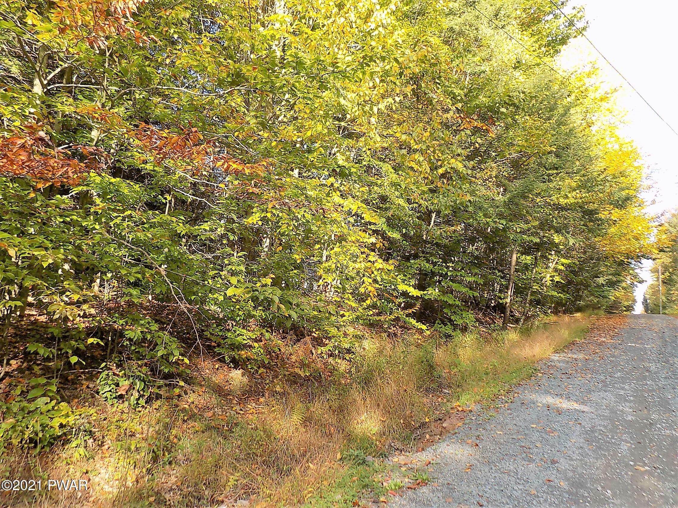 6. Land for Sale at Lot 21 Daffodil Dr Newfoundland, Pennsylvania 18445 United States
