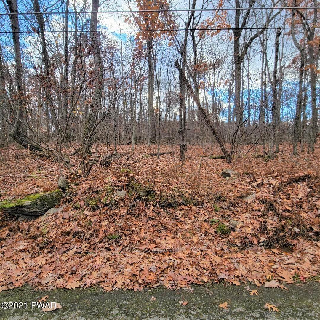 Land for Sale at Deer Park Lane Hawley, Pennsylvania 18428 United States