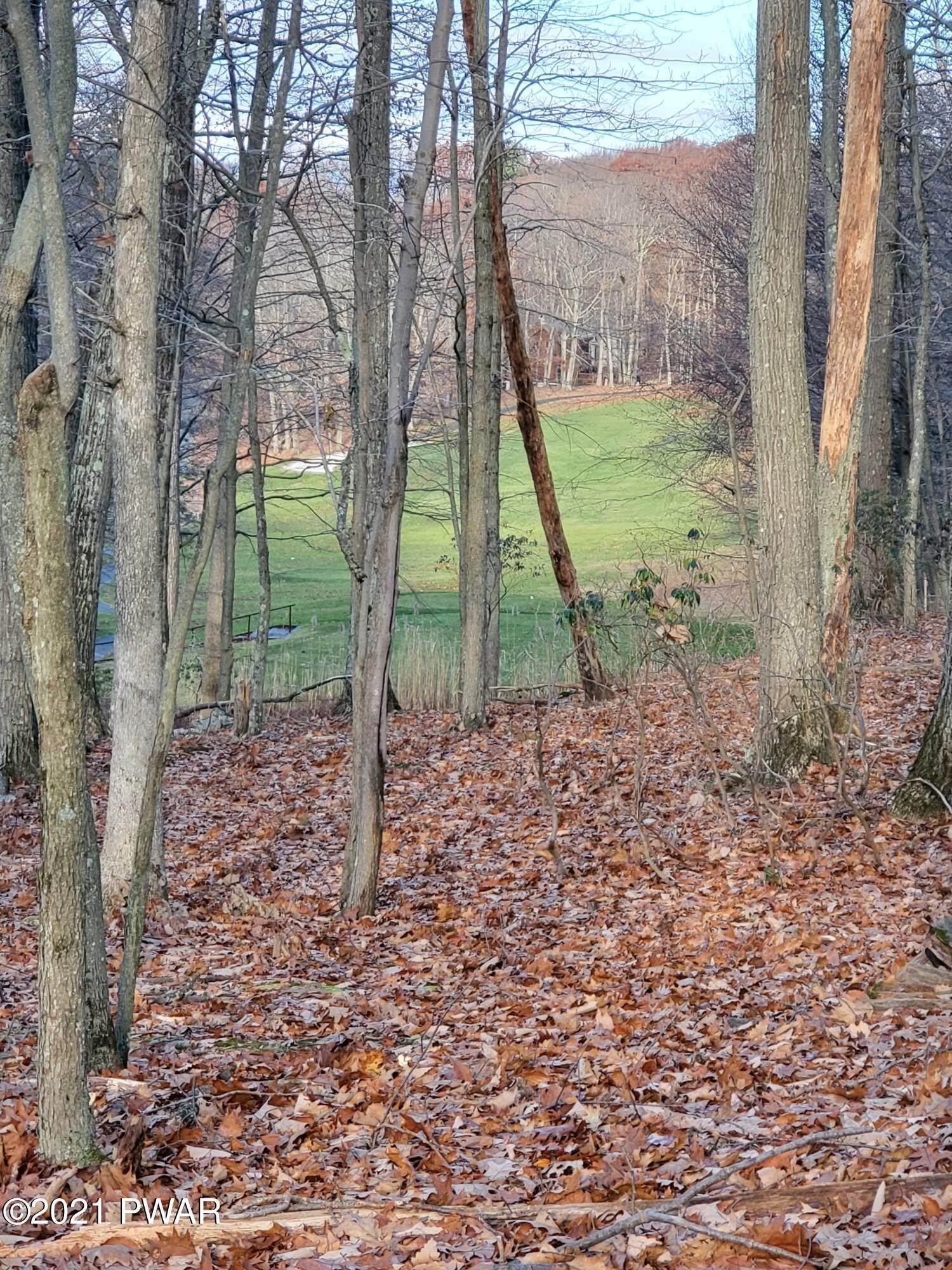 2. Land for Sale at Lot 258 Bear Trap Mountain Rd Greentown, Pennsylvania 18426 United States