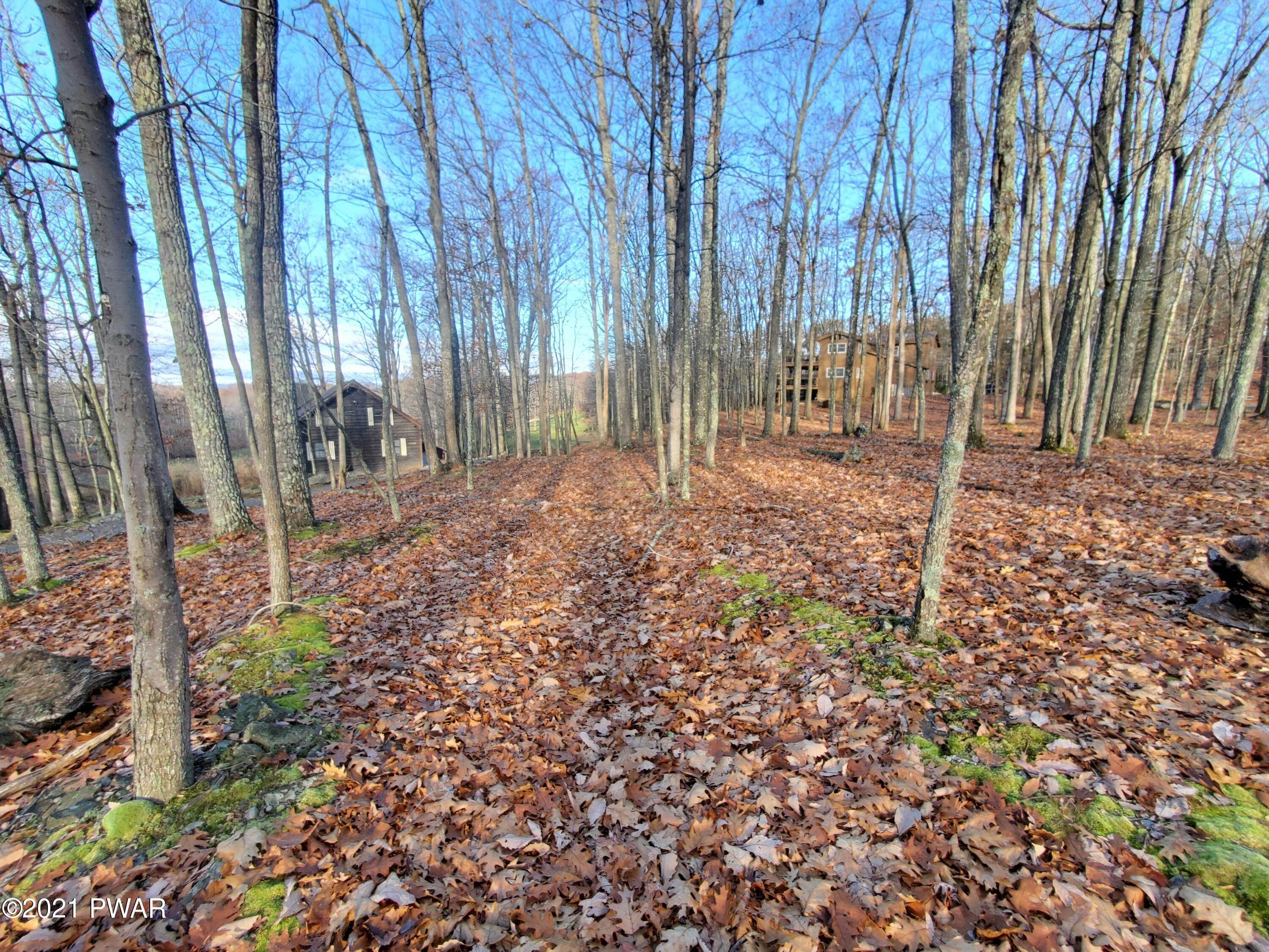 12. Land for Sale at Lot 258 Bear Trap Mountain Rd Greentown, Pennsylvania 18426 United States