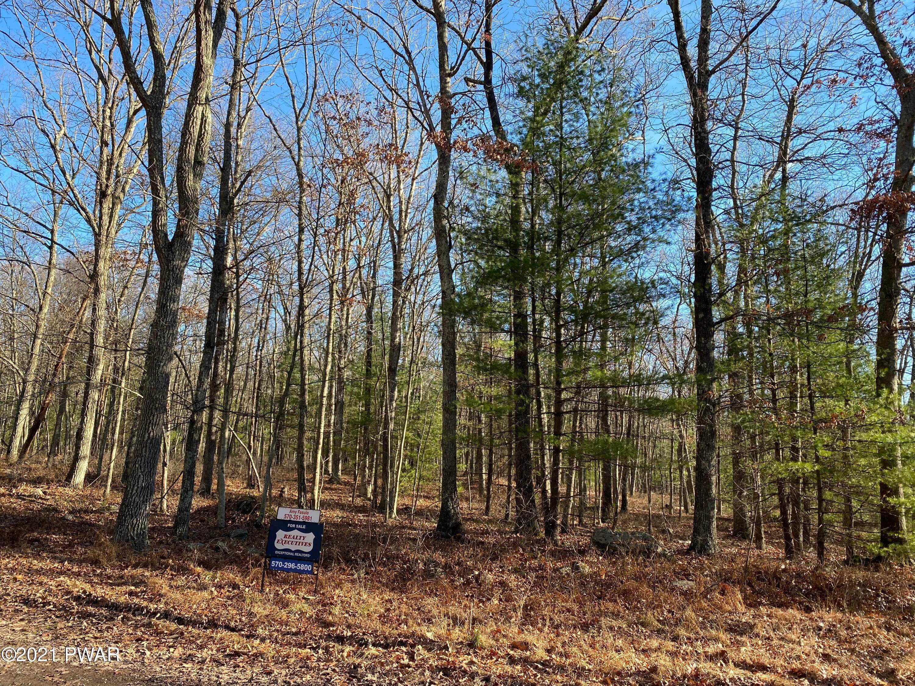 2. Land for Sale at Lot 7 Carninelle Rd Lackawaxen, Pennsylvania 18428 United States