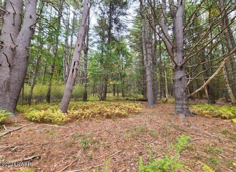 3. Land for Sale at High Rd Glen Spey, New York 12737 United States