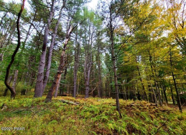5. Land for Sale at High Rd Glen Spey, New York 12737 United States