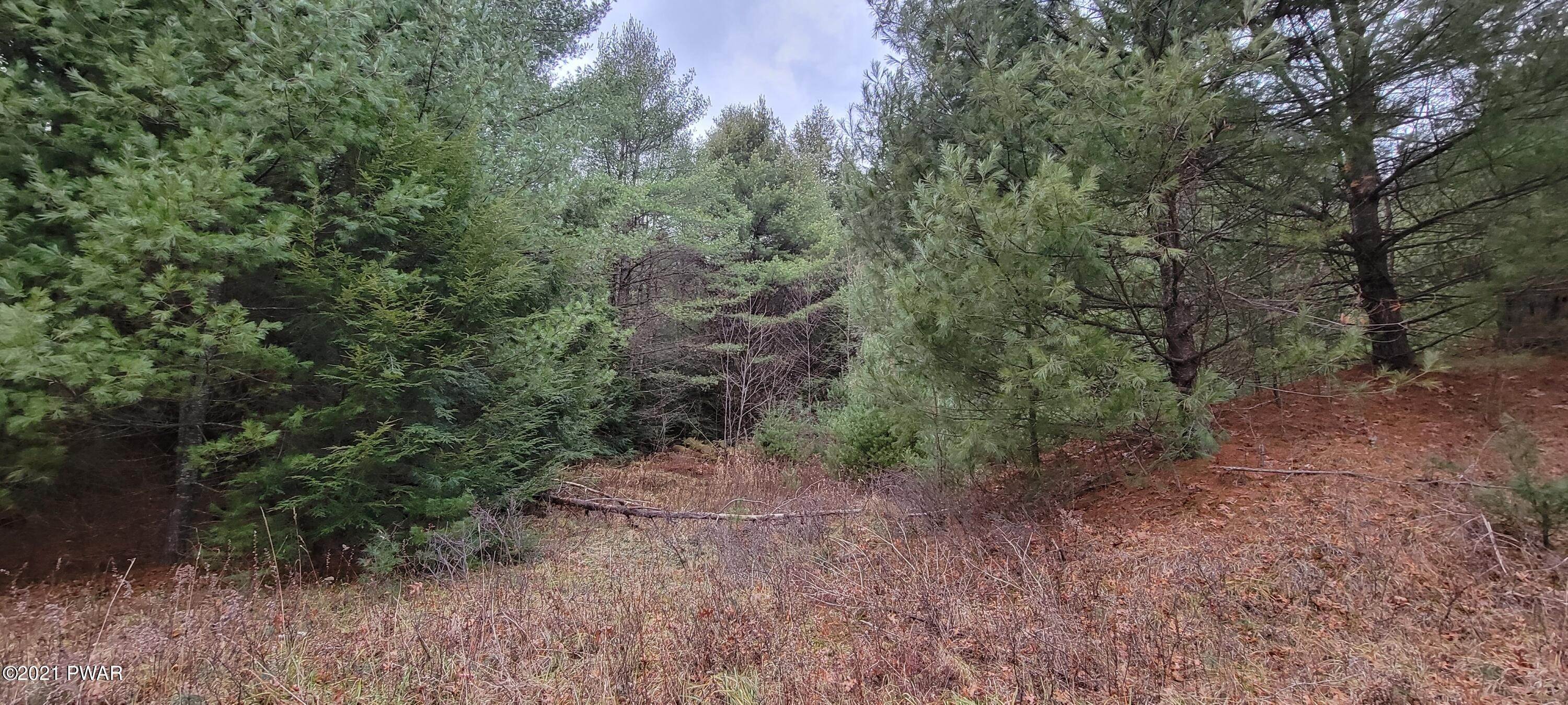 2. Land for Sale at Lot 43 Swamp Pond Rd Narrowsburg, New York 12764 United States