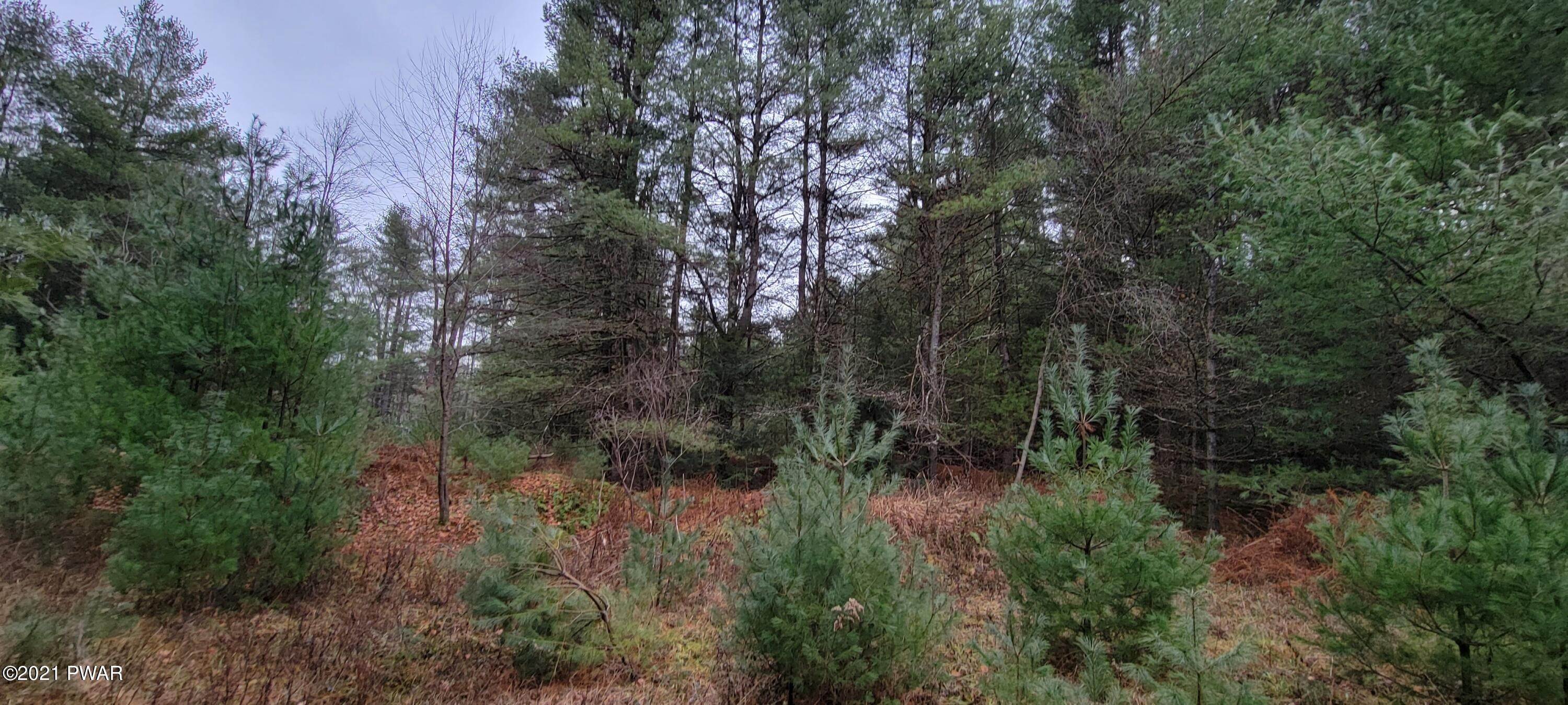 10. Land for Sale at Lot 43 Swamp Pond Rd Narrowsburg, New York 12764 United States