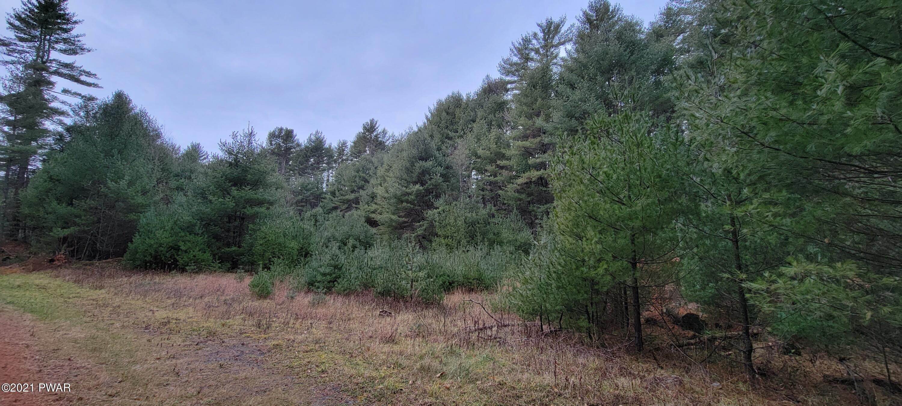 12. Land for Sale at Lot 43 Swamp Pond Rd Narrowsburg, New York 12764 United States