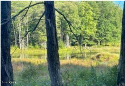 Land for Sale at Gregory Rd Monticello, New York 12701 United States