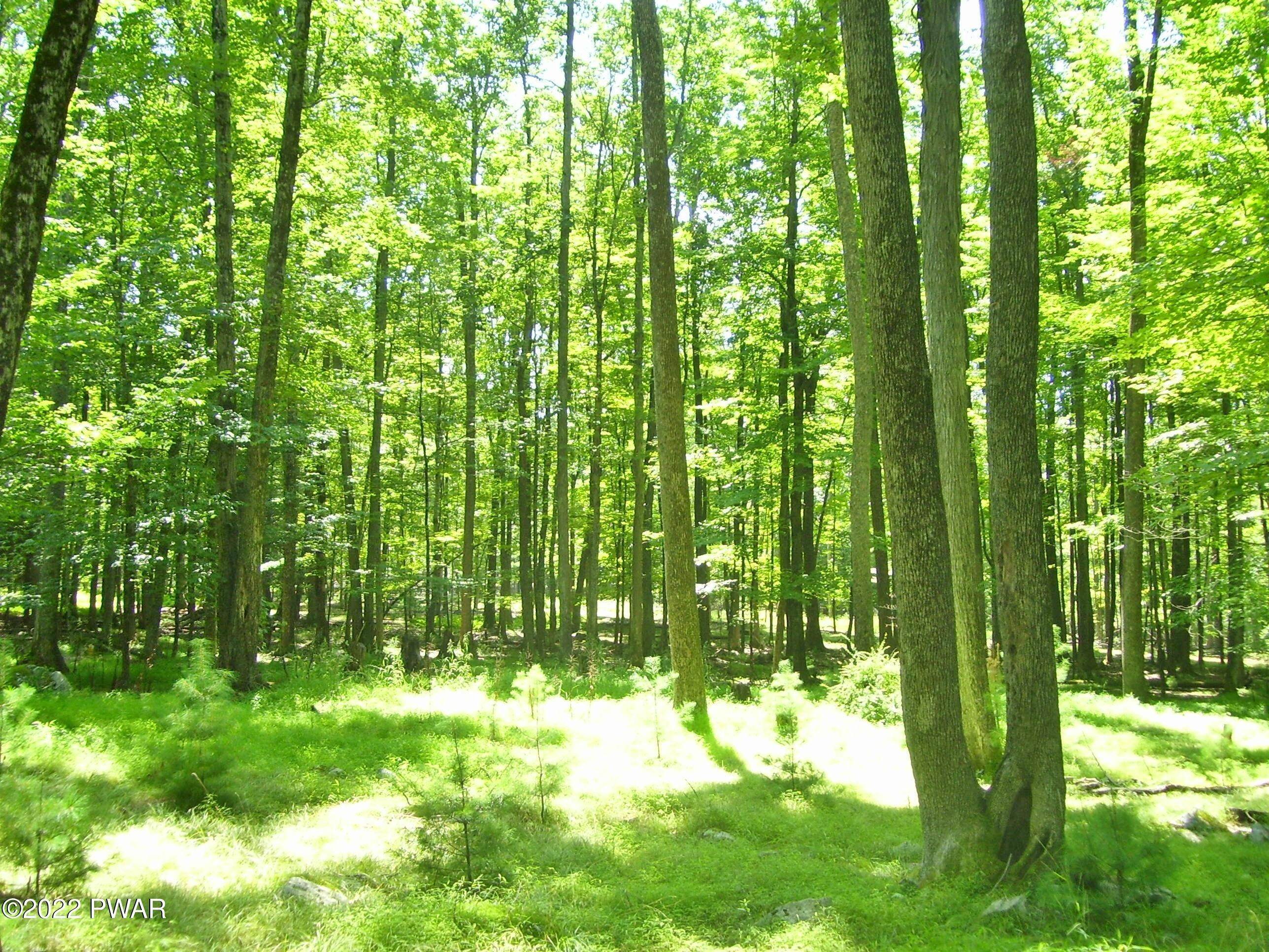5. Land for Sale at Lot 17-C S Wynd Dr Lakeville, Pennsylvania 18438 United States