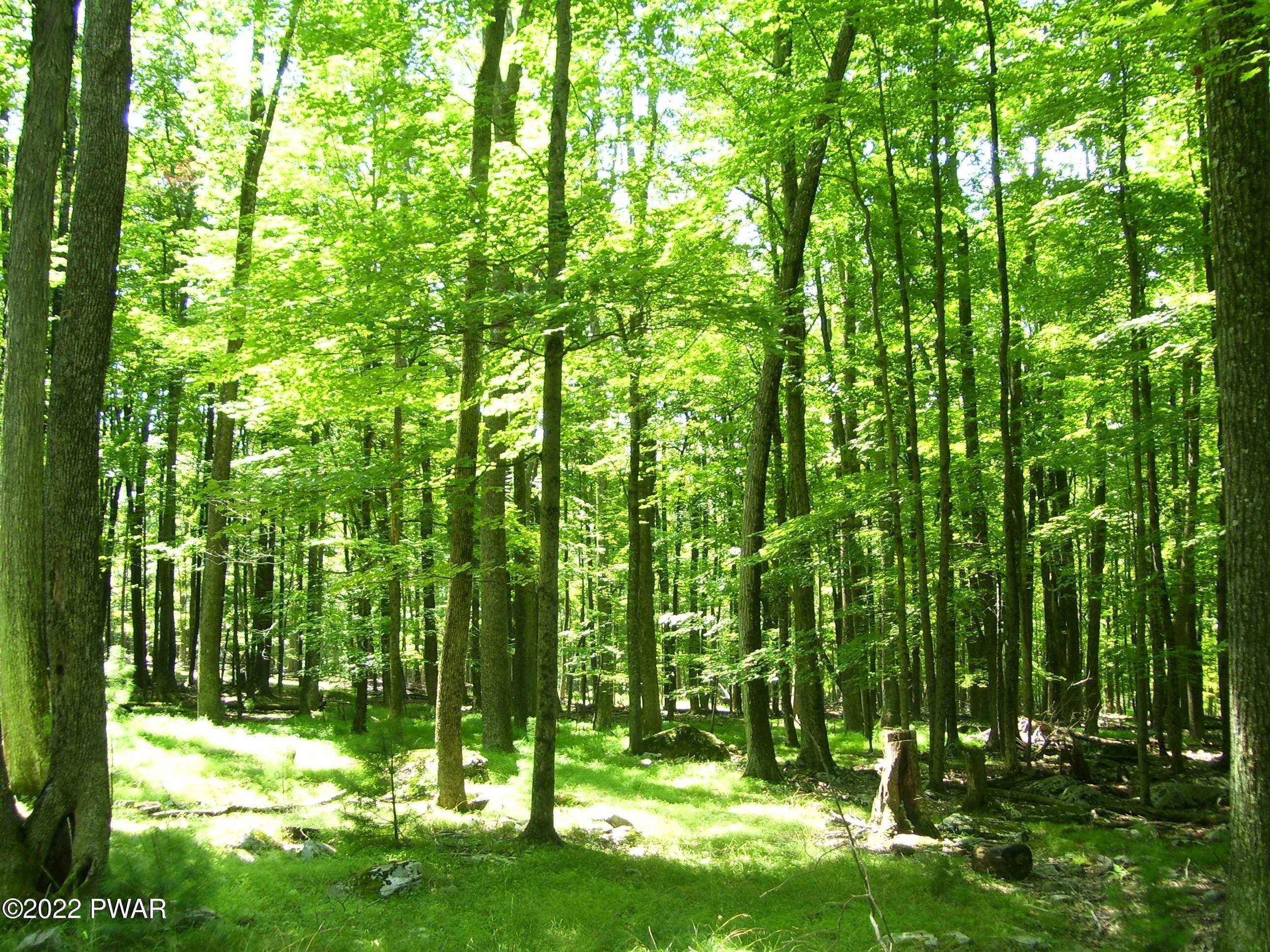 7. Land for Sale at Lot 17-C S Wynd Dr Lakeville, Pennsylvania 18438 United States