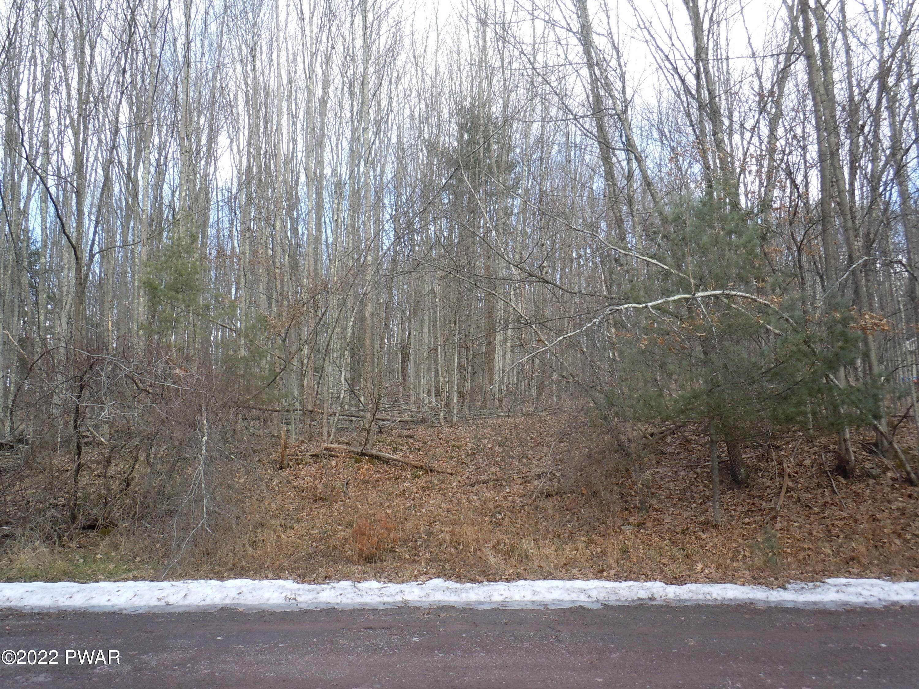 Land for Sale at 5 Cedar Ct Lakeville, Pennsylvania 18438 United States