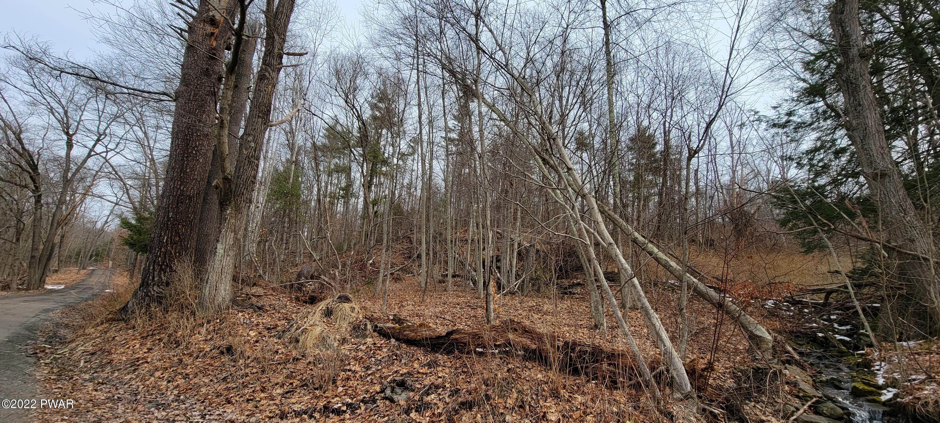 14. Land for Sale at Lot 5.2 Humphrey Rd Narrowsburg, New York 12764 United States