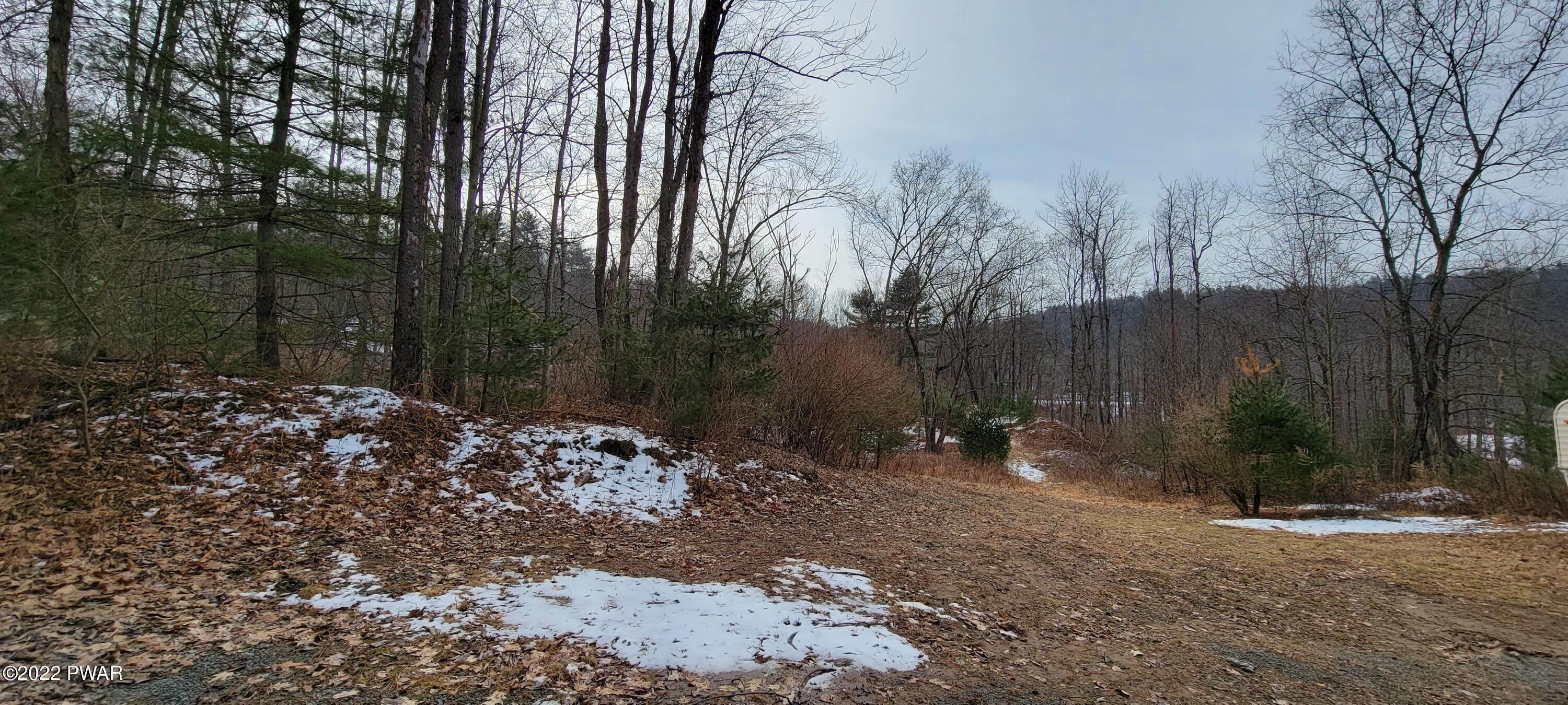 18. Land for Sale at Lot 5.2 Humphrey Rd Narrowsburg, New York 12764 United States