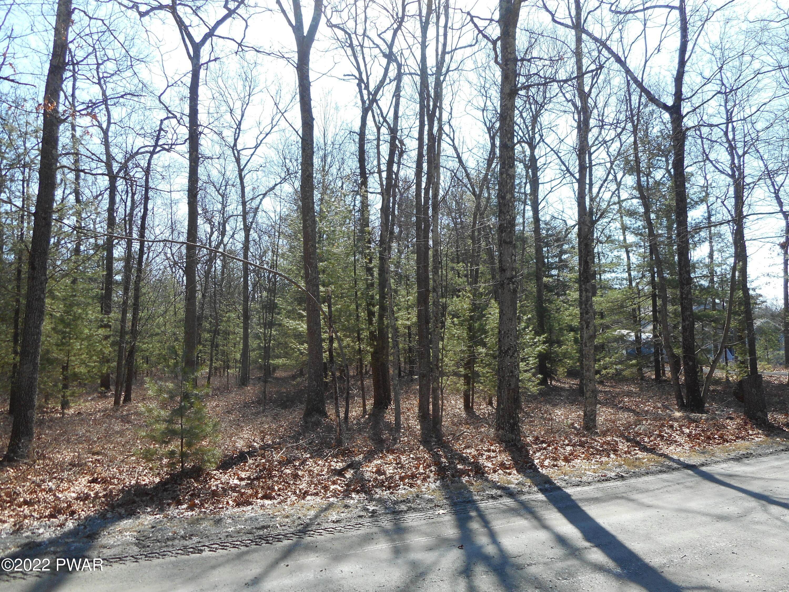 2. Land for Sale at Lot 10 Castle Ct Westfall Township, Pennsylvania 18337 United States
