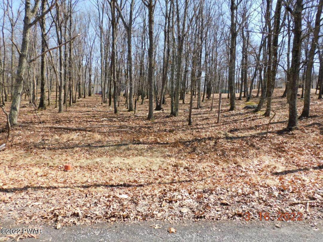 Land for Sale at Lot 59 Whitaker Rd Bushkill, Pennsylvania 18324 United States