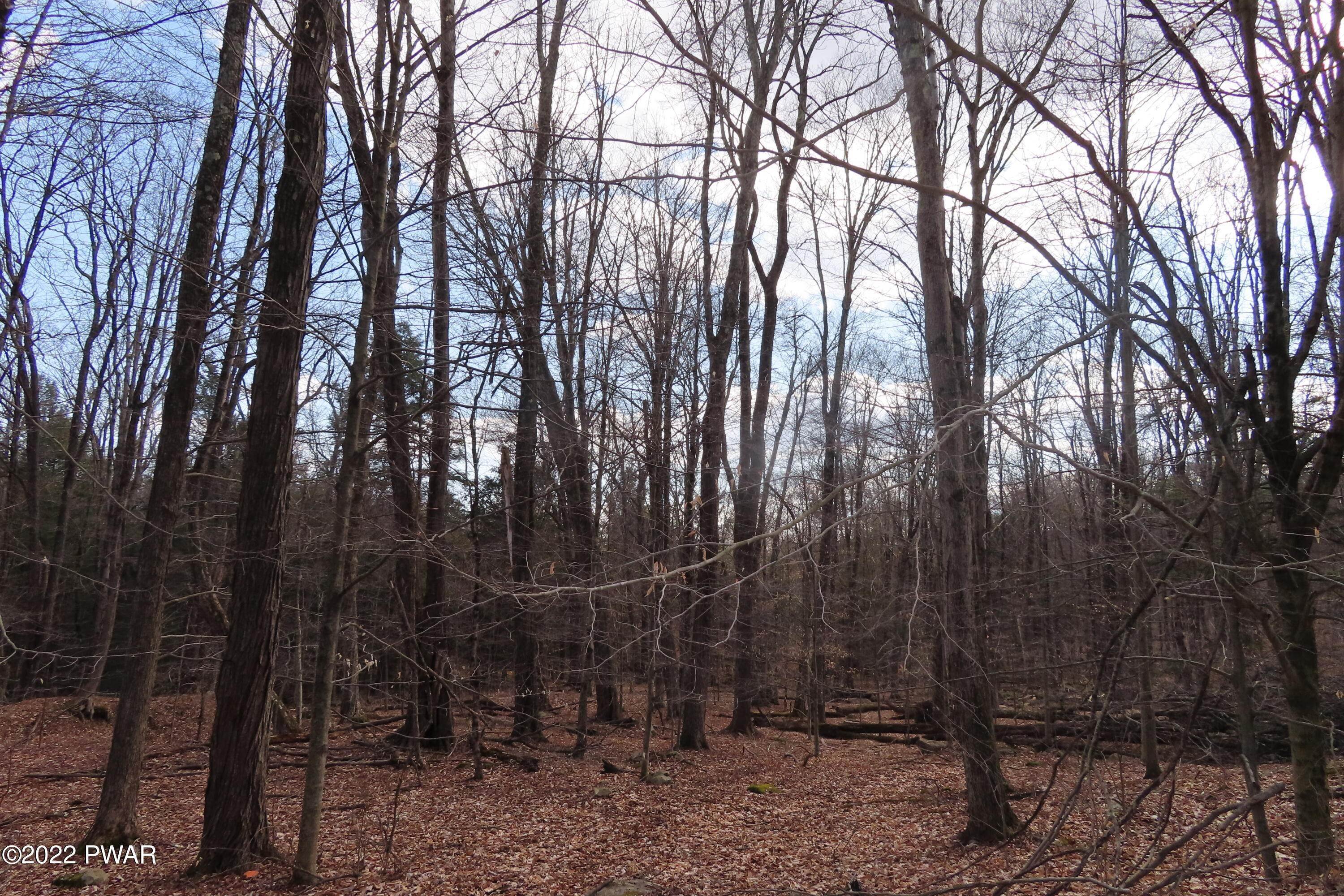 12. Land for Sale at Lot 201 Sawmill Rd Greentown, Pennsylvania 18426 United States