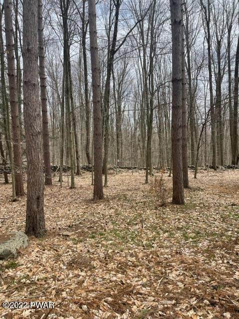 5. Land for Sale at 137 Beechwood Dr Lake Ariel, Pennsylvania 18436 United States