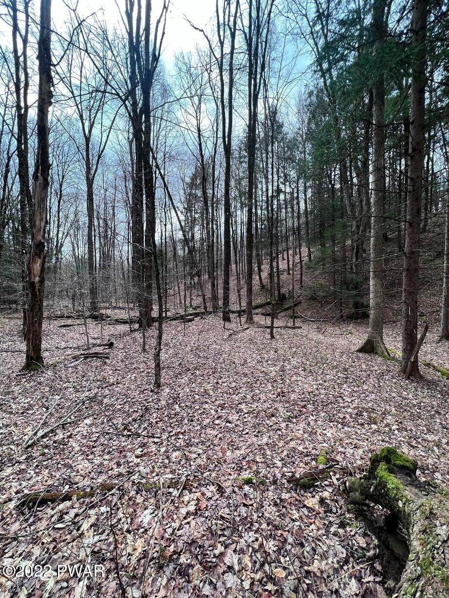 11. Land for Sale at 104 Memorial Links Rd Waymart, Pennsylvania 18472 United States